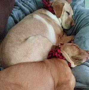 Meet your Posher, Brittney